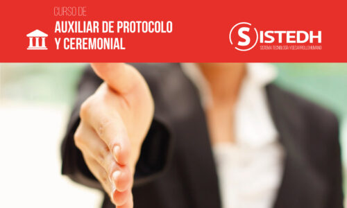 Auxiliar de Protocolo y Ceremonial.